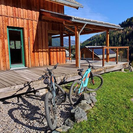 Panorama-Chalet Alpengloeckchen Stadl an der Mur Zewnętrze zdjęcie